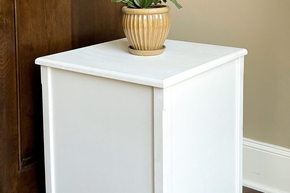 A sleek white painted Rumblewood X12 Subwoofer with a plant centered on the top